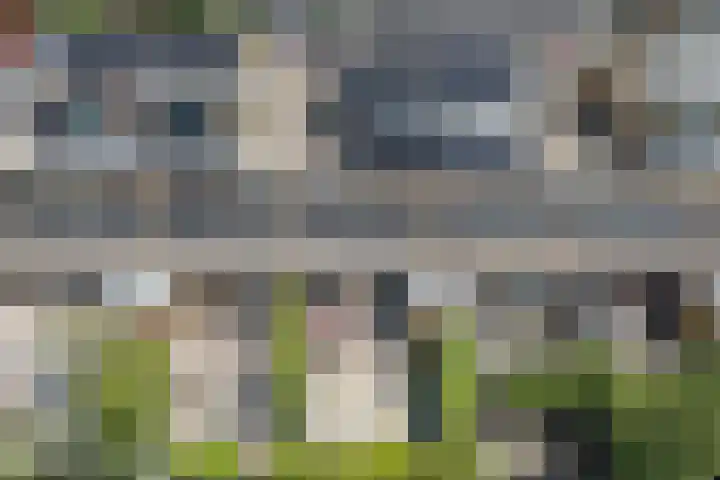 Dwergbieslaan 31 Vleuten thumbnail 19