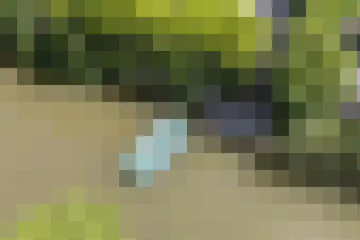 Dwergbieslaan 31 Vleuten thumbnail 21