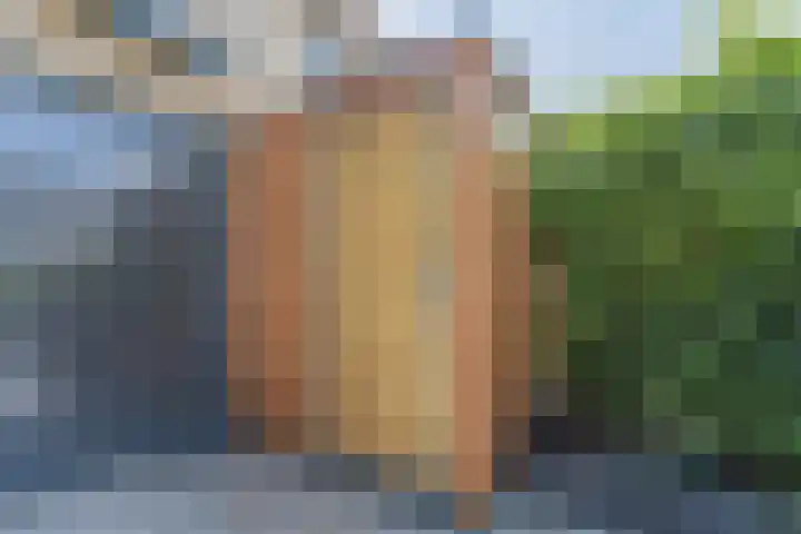 Dwergbieslaan 31 Vleuten thumbnail 22