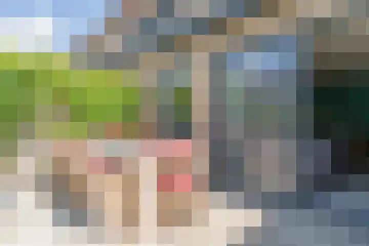 Dwergbieslaan 31 Vleuten thumbnail 23