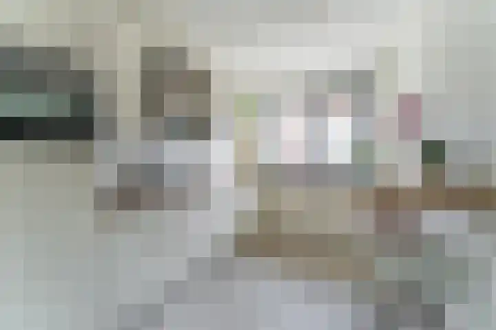 Dwergbieslaan 31 Vleuten thumbnail 27