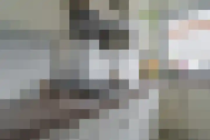 Dwergbieslaan 31 Vleuten thumbnail 28