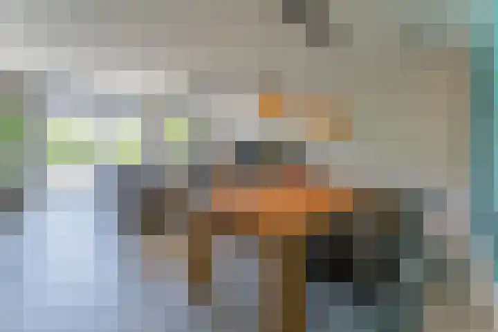 Dwergbieslaan 31 Vleuten thumbnail 32