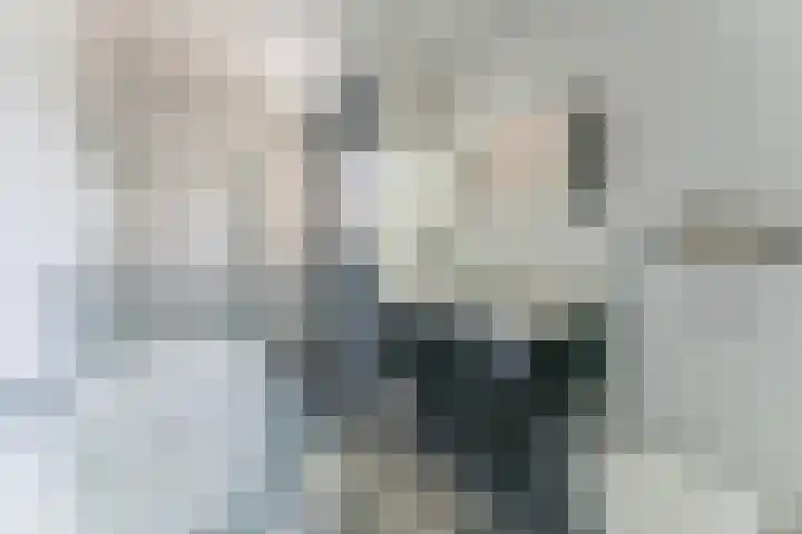 Dwergbieslaan 31 Vleuten thumbnail 41