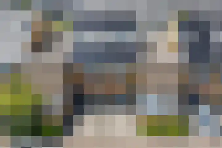 Dwergbieslaan 31 Vleuten thumbnail 52
