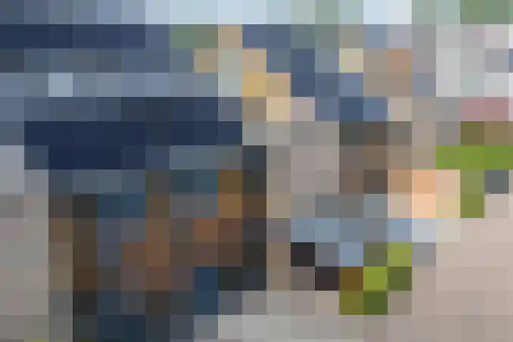 Dwergbieslaan 31 Vleuten thumbnail 53