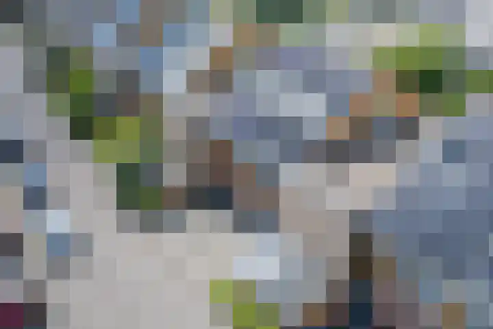 Dwergbieslaan 31 Vleuten thumbnail 54