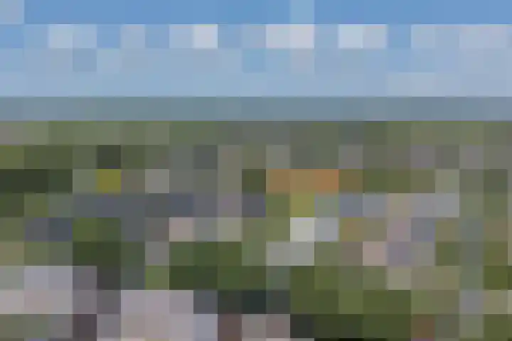 Dwergbieslaan 31 Vleuten thumbnail 56