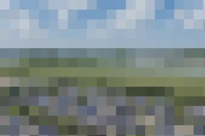 Dwergbieslaan 31 Vleuten thumbnail 58
