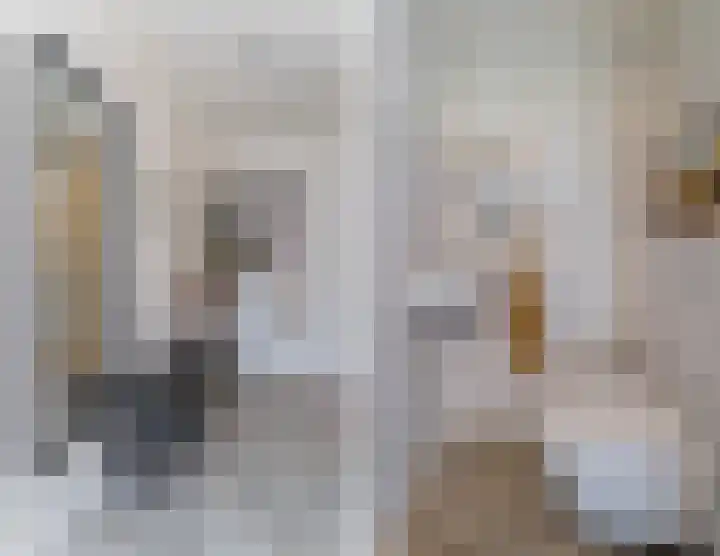Dwergbieslaan 31 Vleuten thumbnail 7