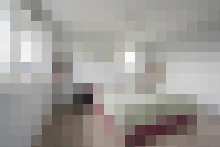 Dwergblauwtje 16 Nijkerk thumbnail 12