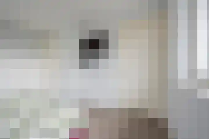 Dwergblauwtje 16 Nijkerk thumbnail 13