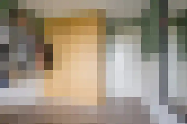 Dwergblauwtje 16 Nijkerk thumbnail 19