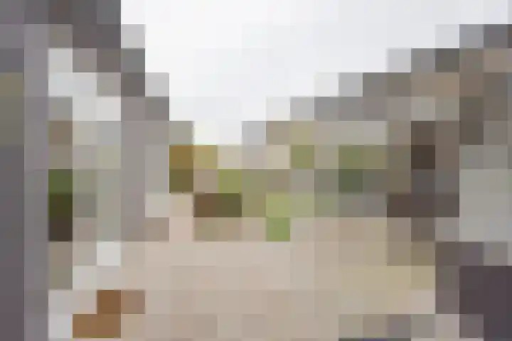 Dwergblauwtje 16 Nijkerk thumbnail 28