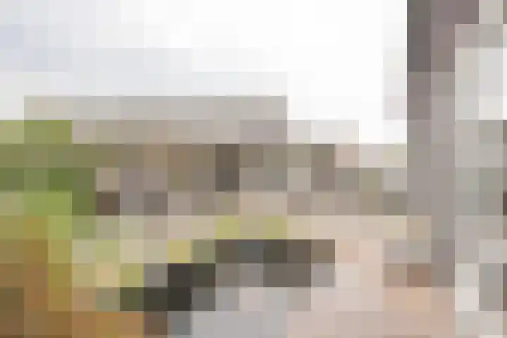 Dwergblauwtje 16 Nijkerk thumbnail 29