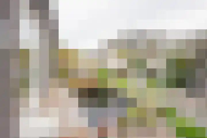 Dwergblauwtje 16 Nijkerk thumbnail 30