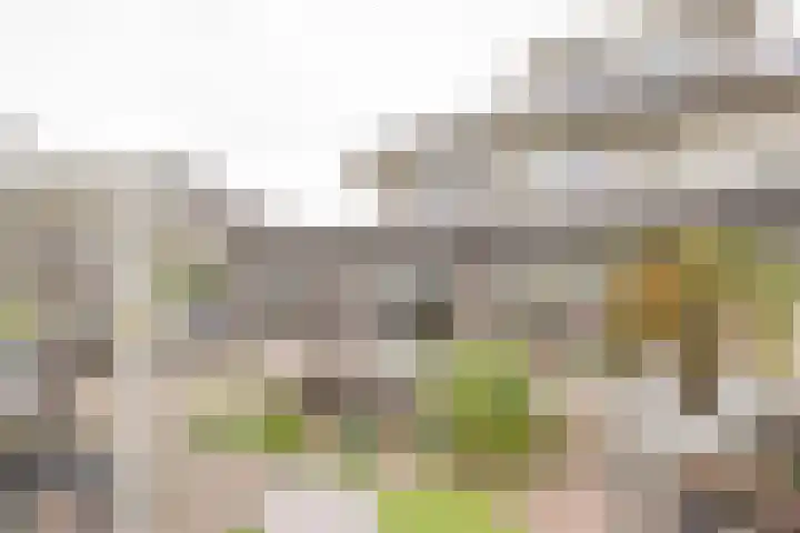 Dwergblauwtje 16 Nijkerk thumbnail 31