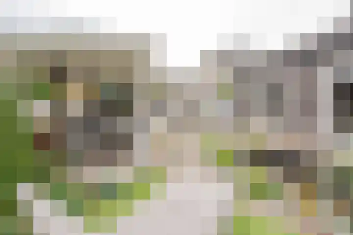 Dwergblauwtje 16 Nijkerk thumbnail 32