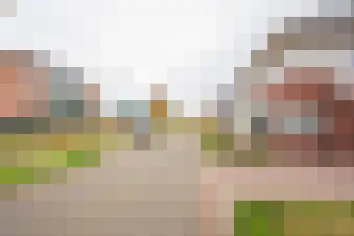 Dwergblauwtje 16 Nijkerk thumbnail 35