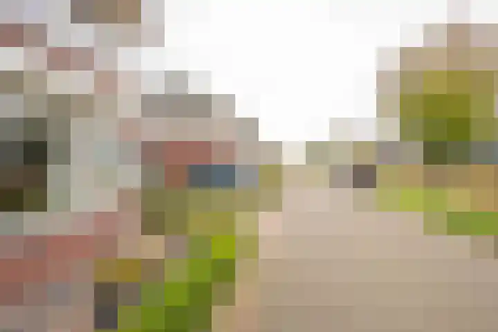 Dwergblauwtje 16 Nijkerk thumbnail 36