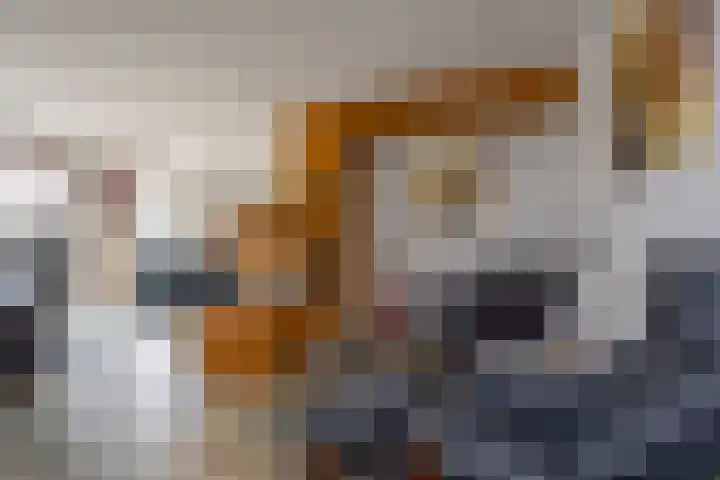 Dwergblauwtje 16 Nijkerk thumbnail 7