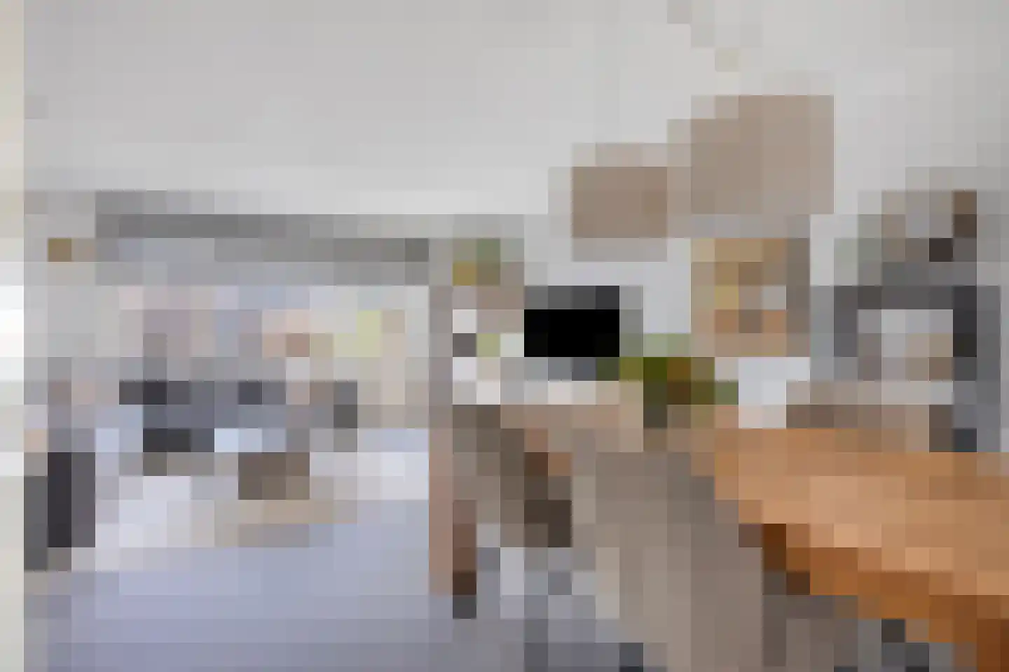 Dwergblauwtje 18 Breda thumbnail 12