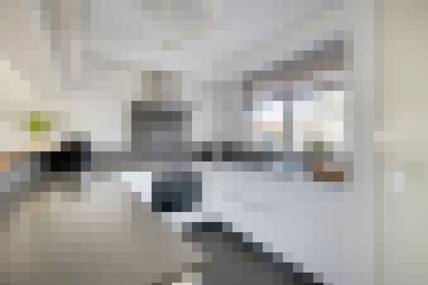 Dwergblauwtje 18 Breda thumbnail 14