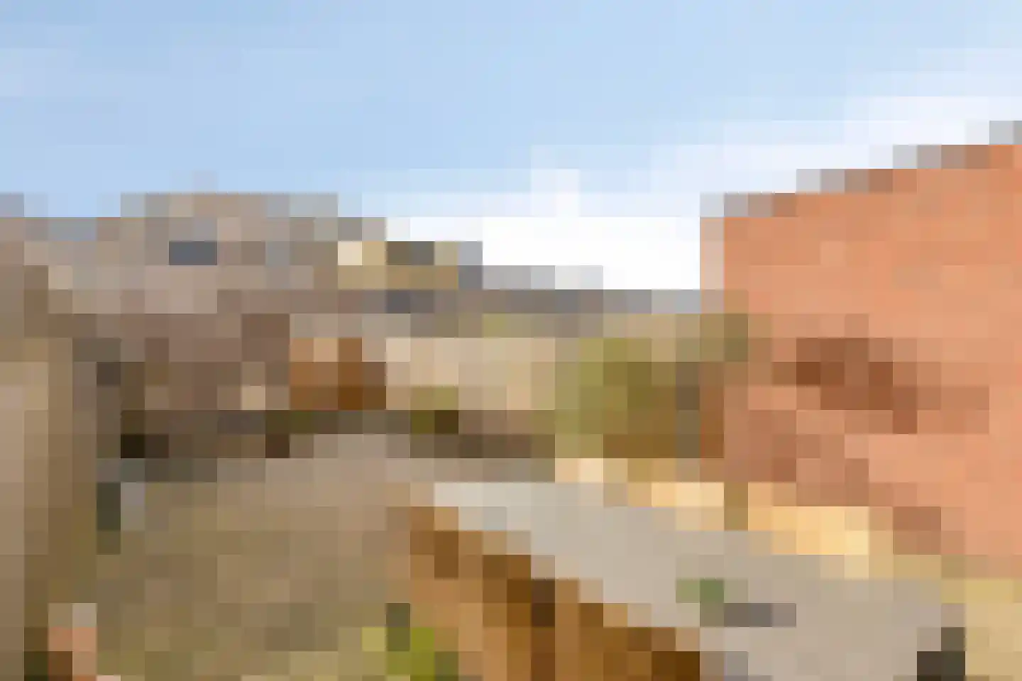 Dwergblauwtje 18 Breda thumbnail 30