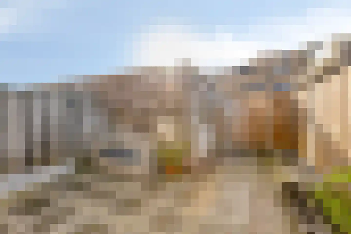 Dwergblauwtje 18 Breda thumbnail 31