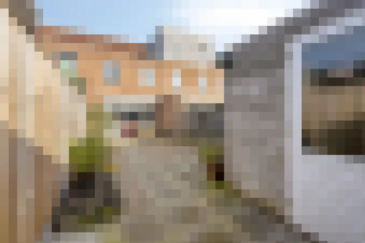 Dwergblauwtje 18 Breda thumbnail 32