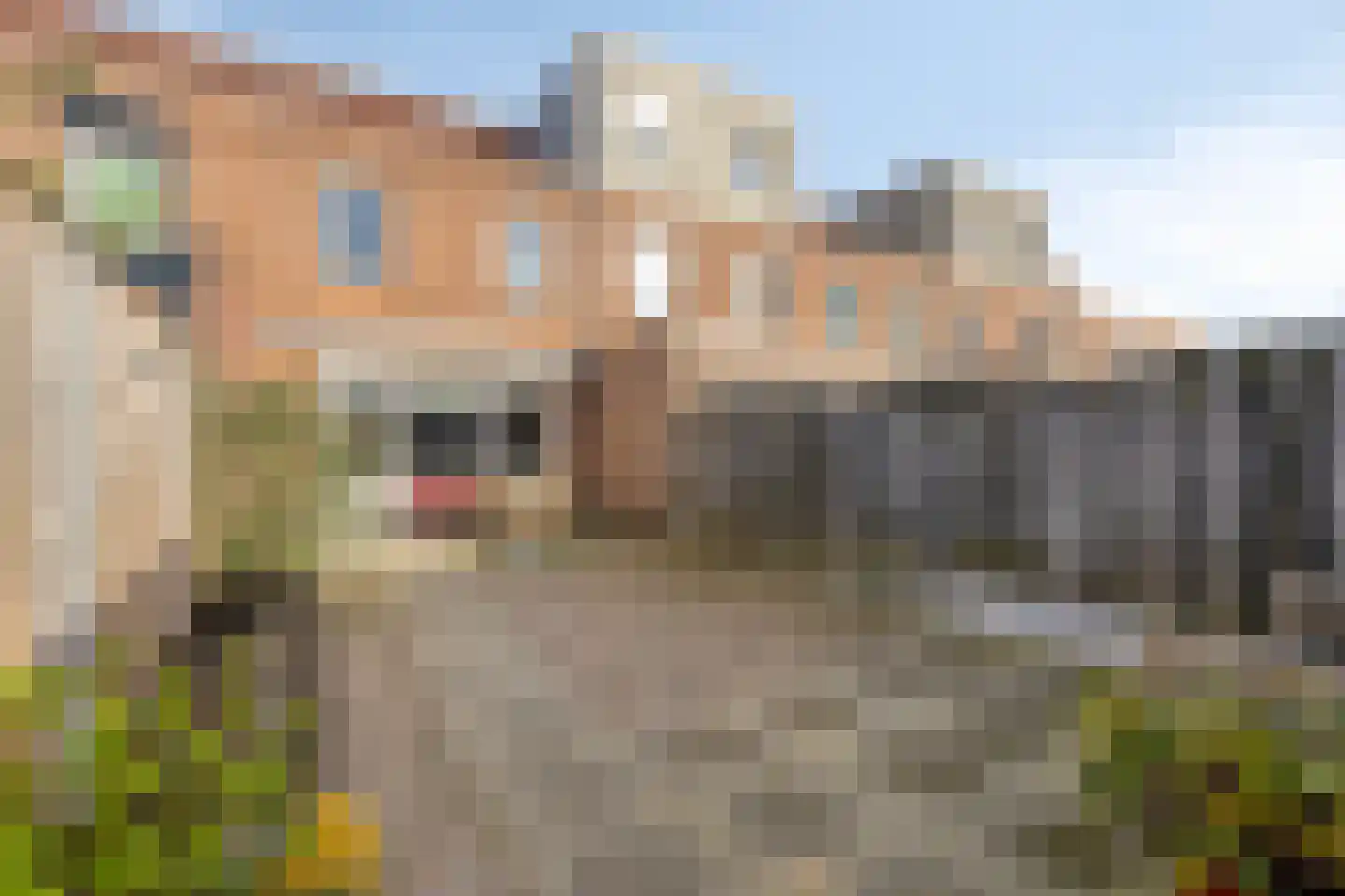 Dwergblauwtje 18 Breda thumbnail 33