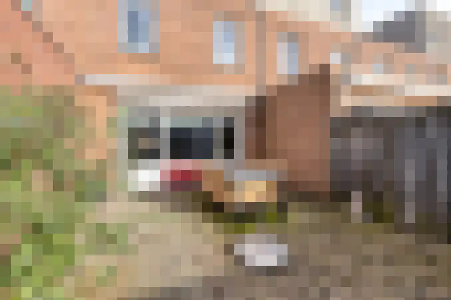 Dwergblauwtje 18 Breda thumbnail 34