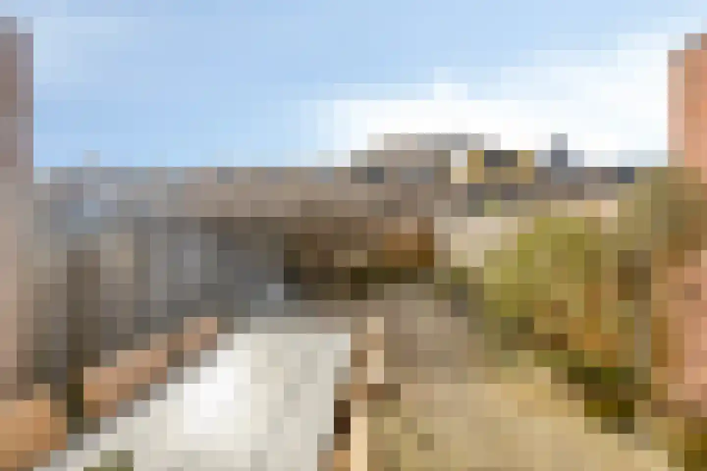 Dwergblauwtje 18 Breda thumbnail 4