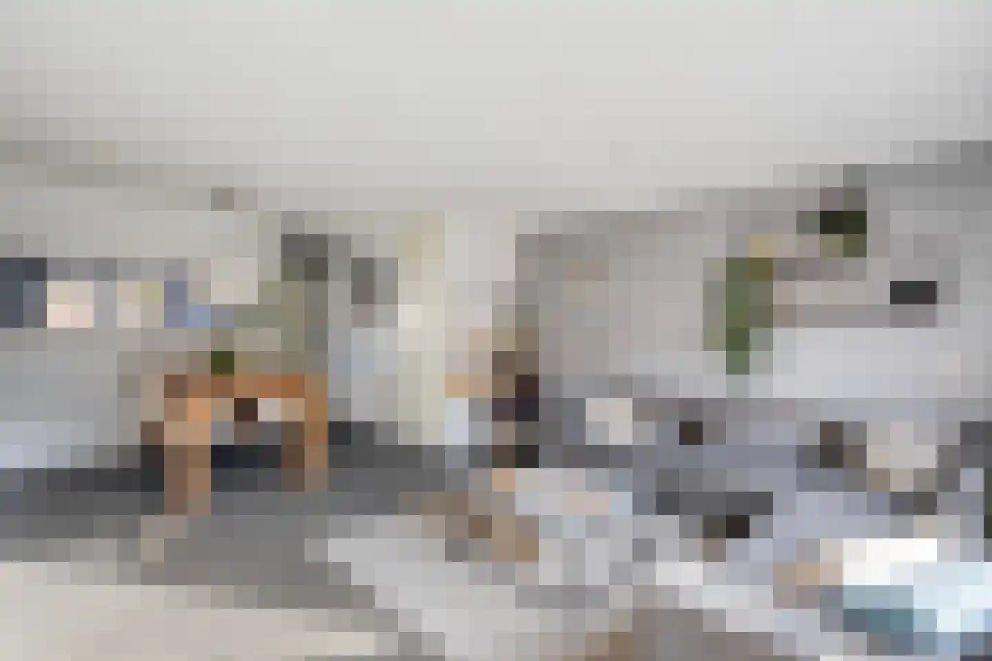 Dwergblauwtje 18 Breda thumbnail 9