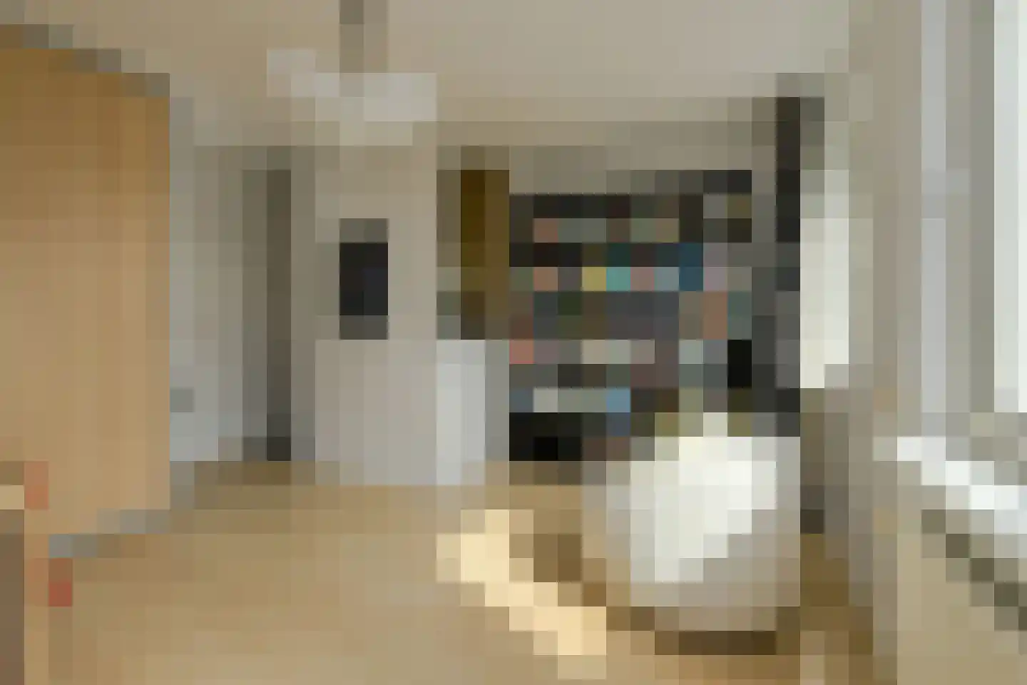 Dwergblauwtje 28 Breda thumbnail 31