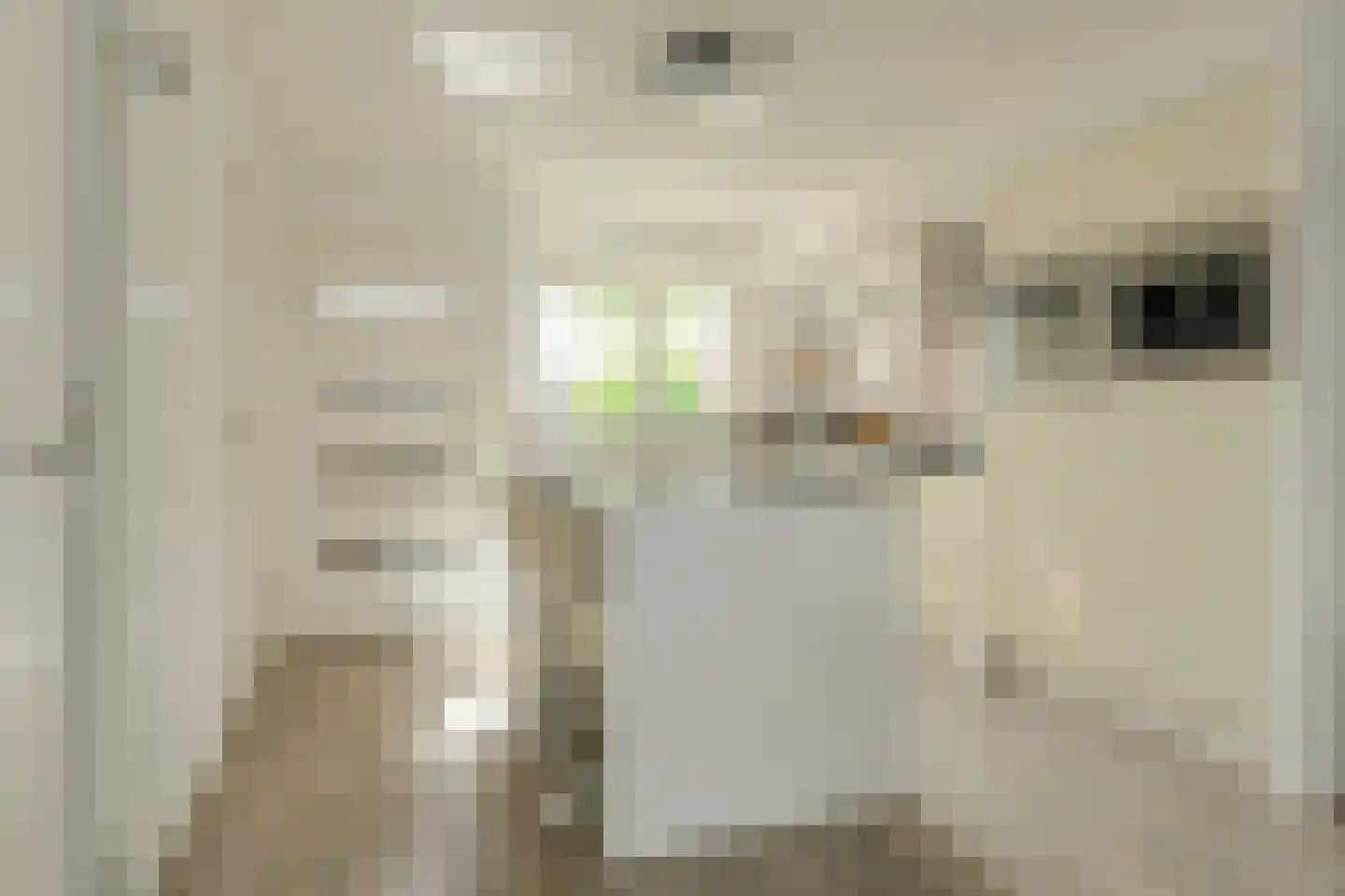 Dwergblauwtje 28 Breda thumbnail 9
