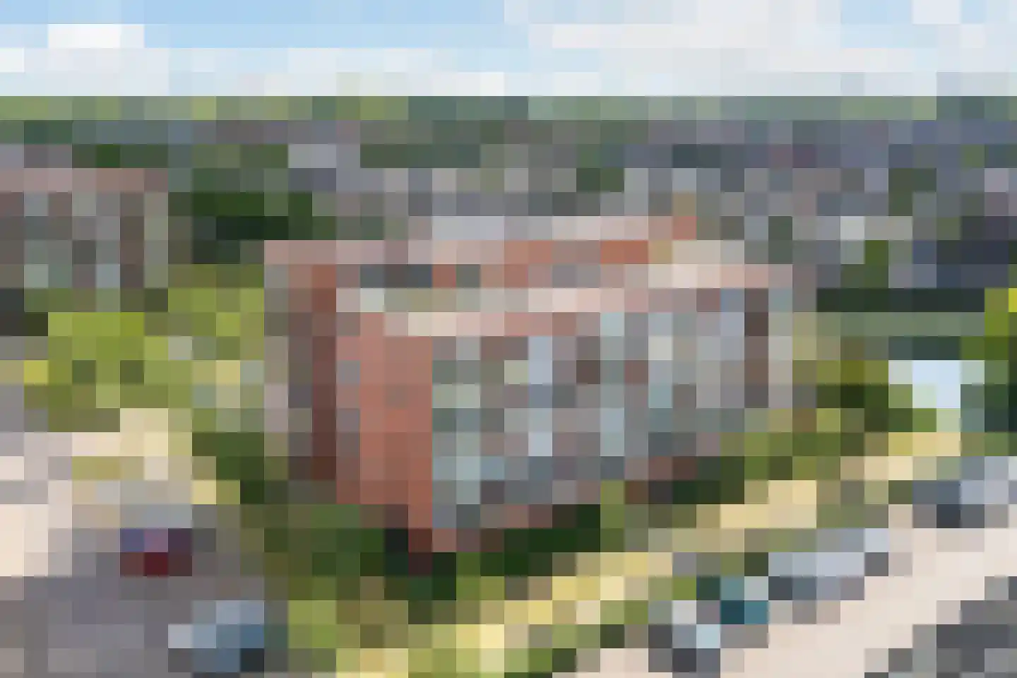 Dwergbloemsingel 2 Vleuten