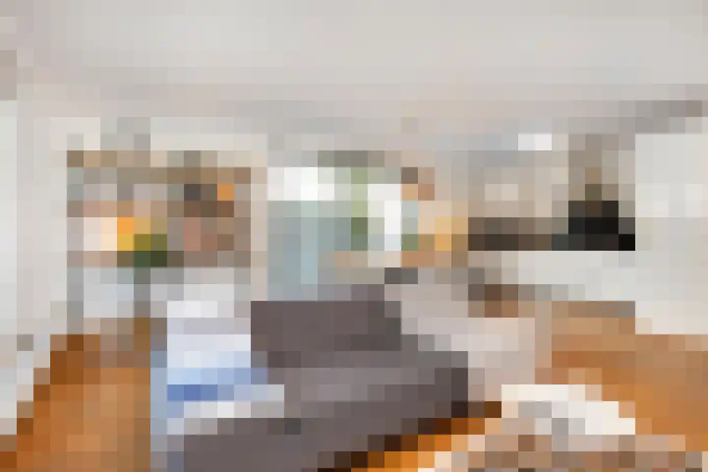 Dwergbloemsingel 2 Vleuten thumbnail 10