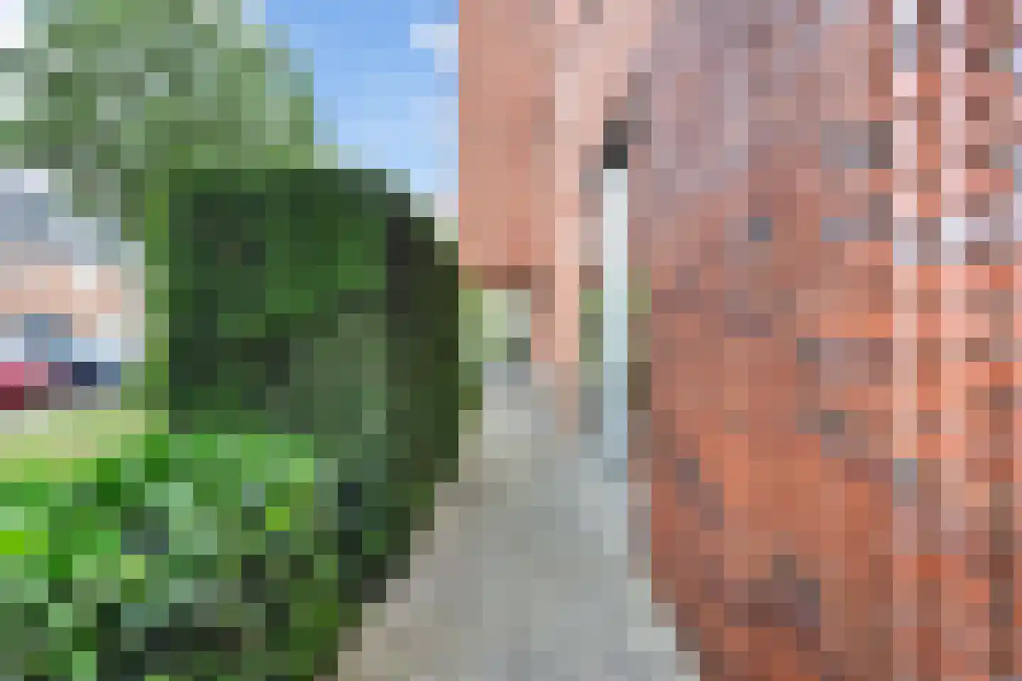 Dwergbloemsingel 2 Vleuten thumbnail 25