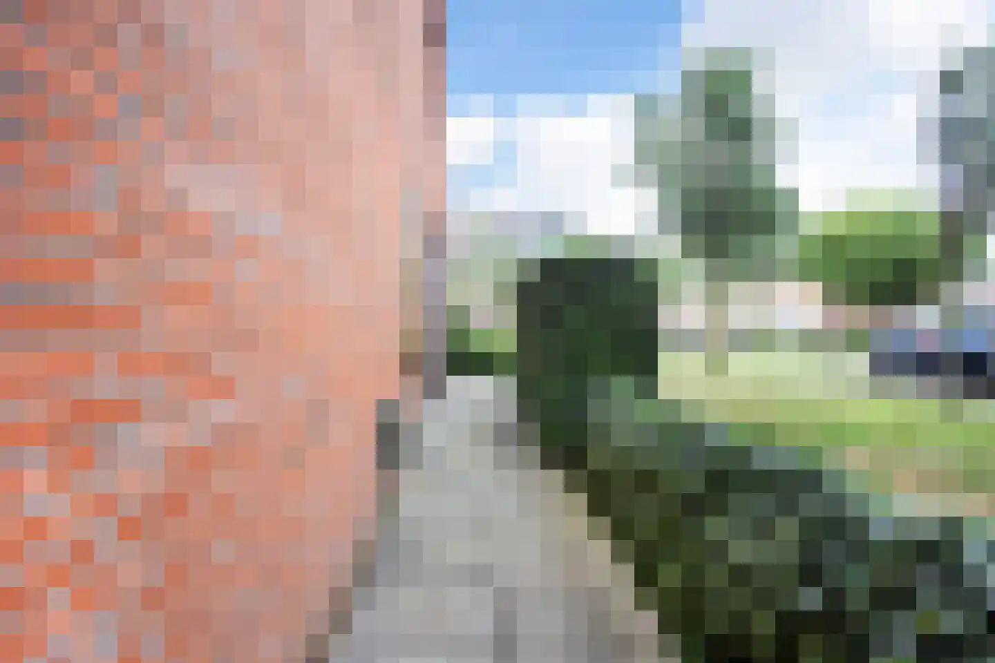 Dwergbloemsingel 2 Vleuten thumbnail 26
