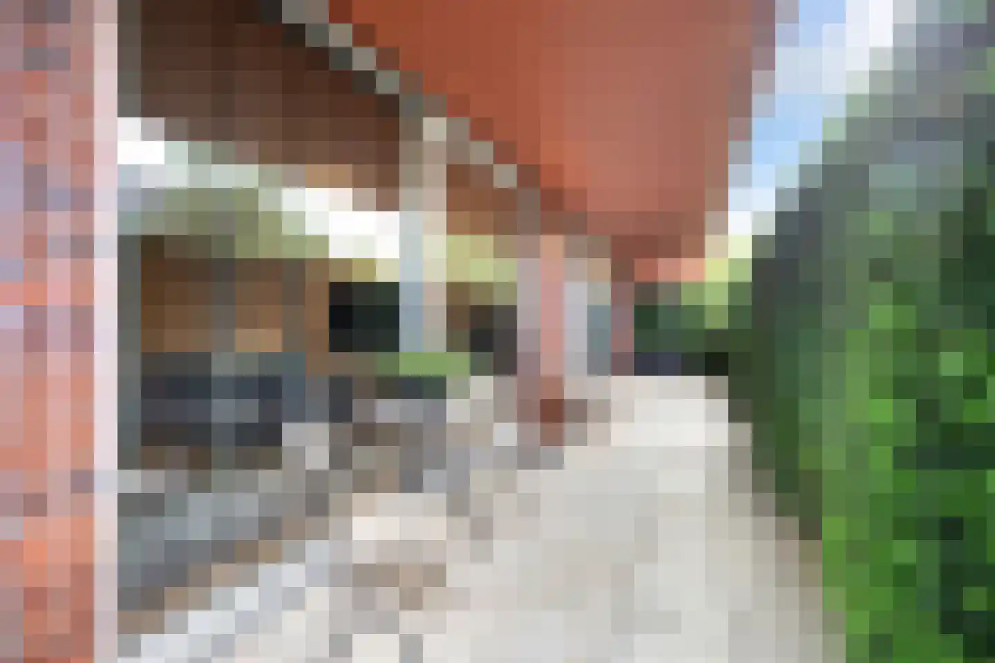 Dwergbloemsingel 2 Vleuten thumbnail 27