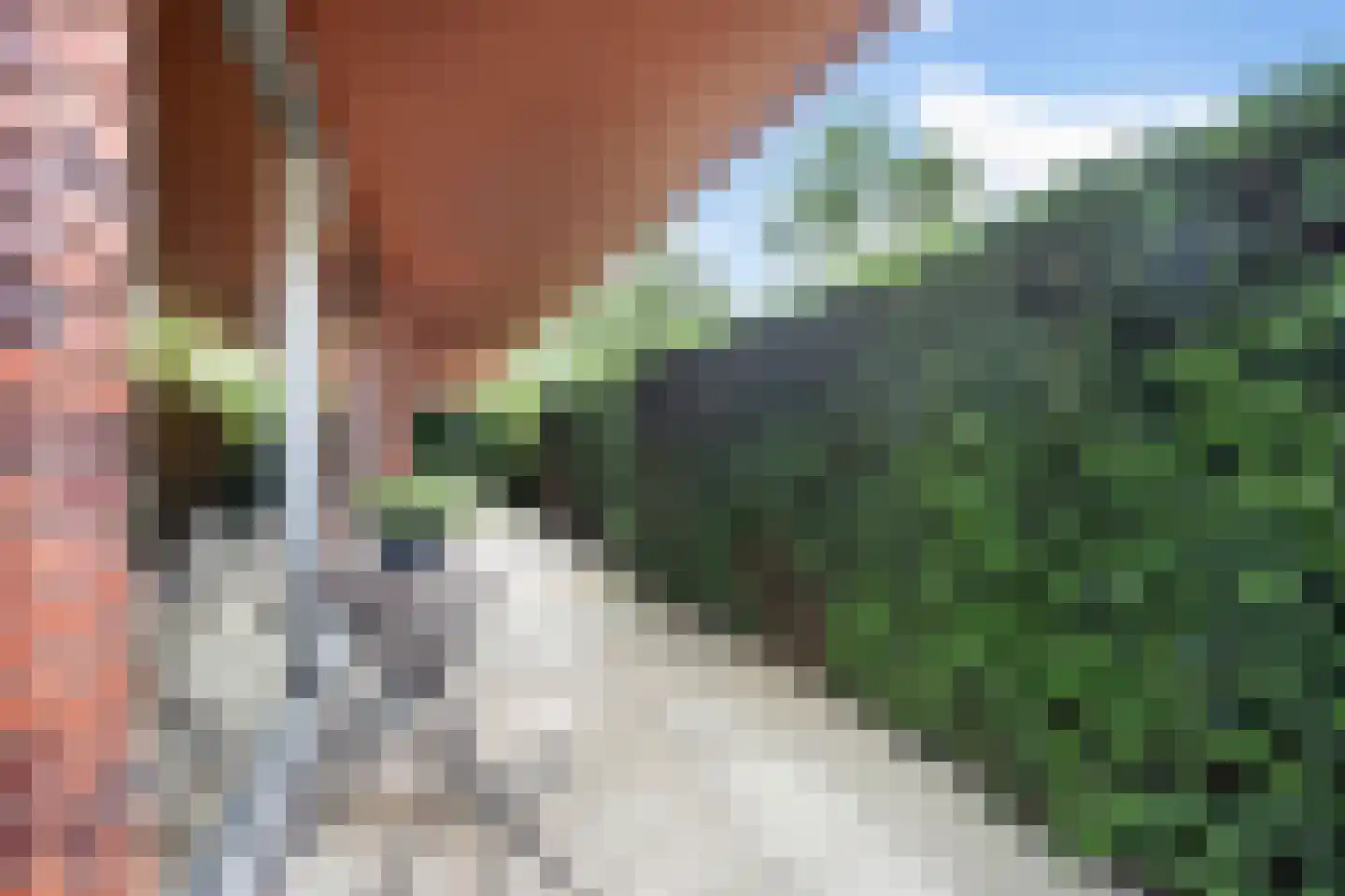 Dwergbloemsingel 2 Vleuten thumbnail 28