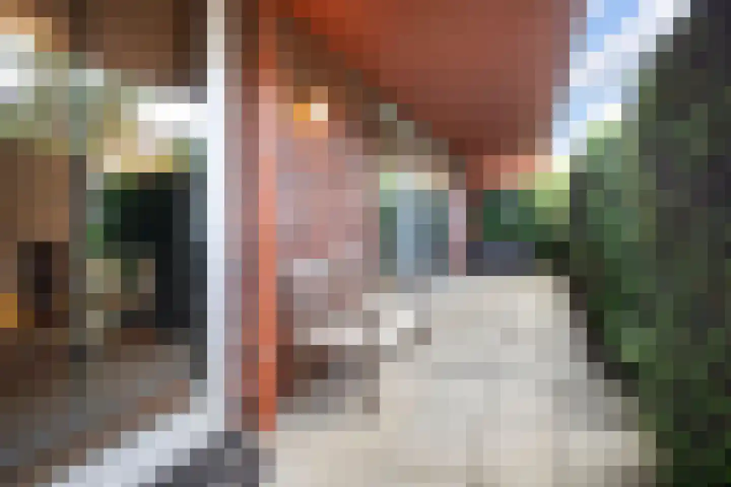 Dwergbloemsingel 2 Vleuten thumbnail 29