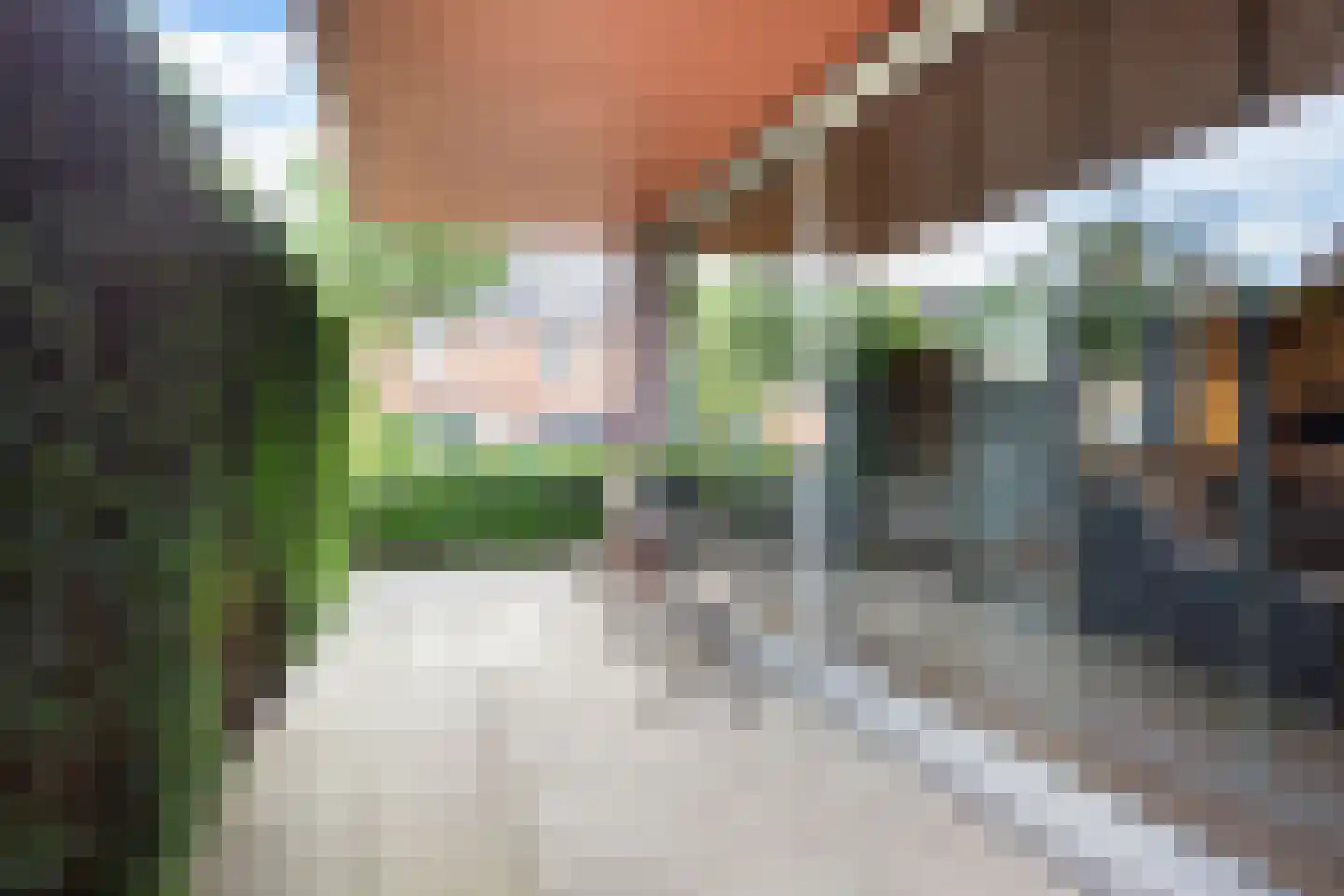 Dwergbloemsingel 2 Vleuten thumbnail 30