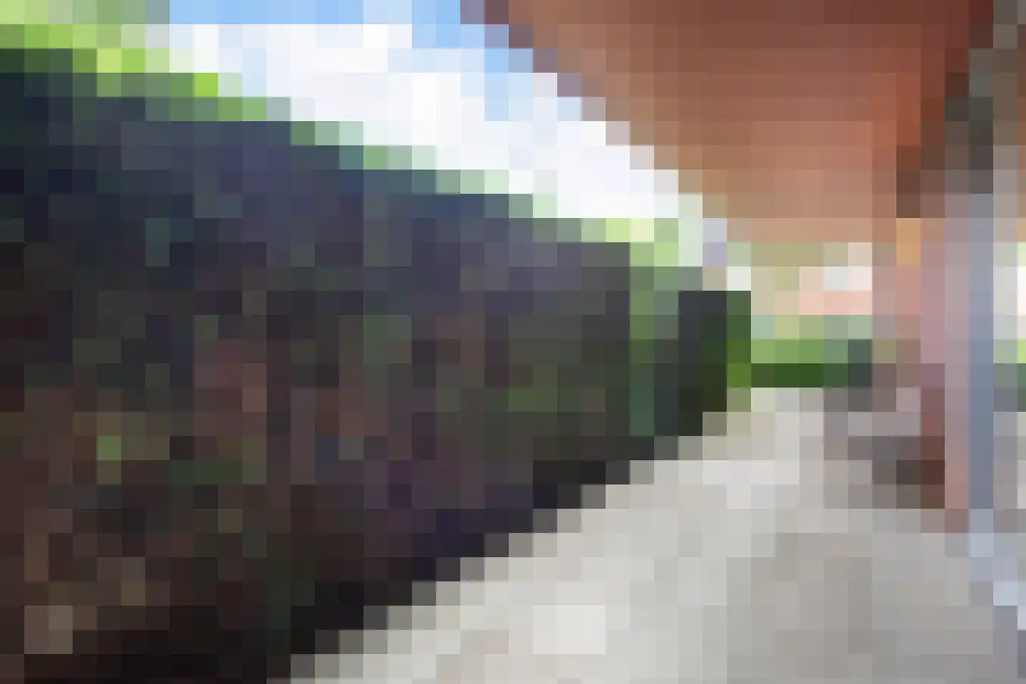 Dwergbloemsingel 2 Vleuten thumbnail 31