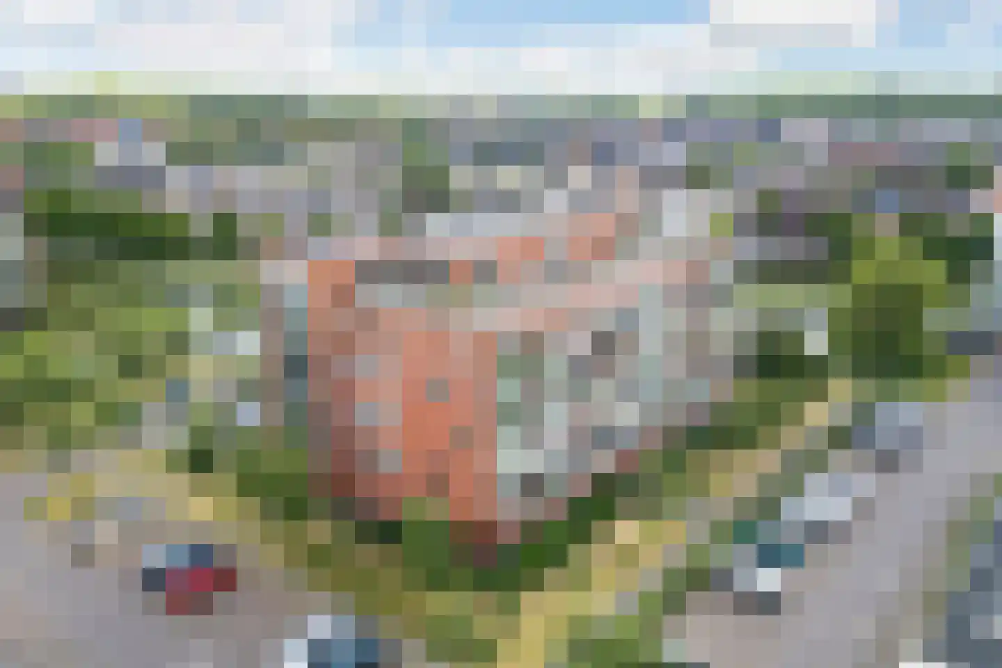 Dwergbloemsingel 2 Vleuten thumbnail 35