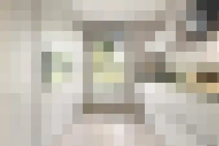 Dwergbloemsingel 39 Vleuten thumbnail 12