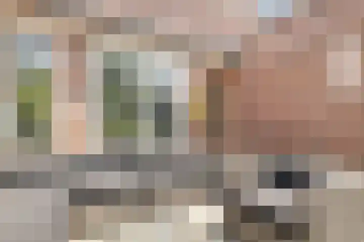 Dwergbloemsingel 39 Vleuten thumbnail 17