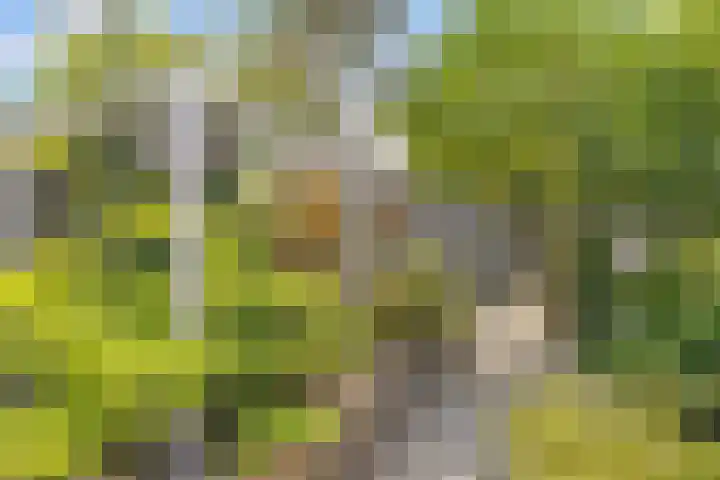 Dwergbloemsingel 39 Vleuten thumbnail 19