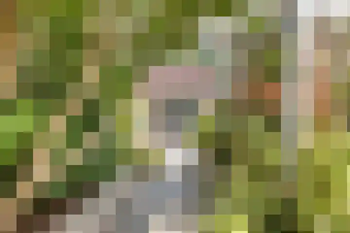 Dwergbloemsingel 39 Vleuten thumbnail 20